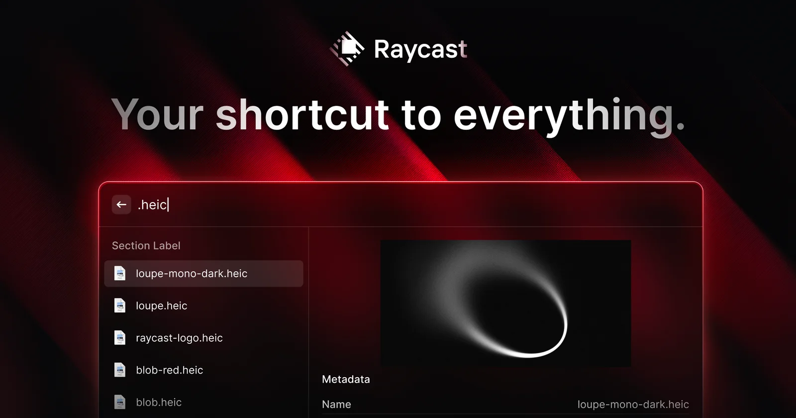 Raycast cover
