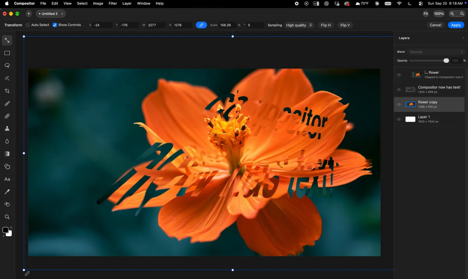 Compositor cover